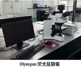 熒光顯微分析