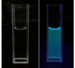 羧基化石墨烯量子點粉末