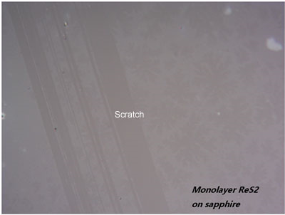【巨納】單層二硫化錸（10x10mm）連續薄膜-襯底可選