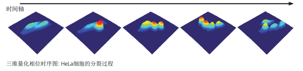 透射式數(shù)字全息顯微鏡 (DHM-T)